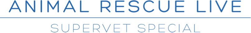 Animal Rescue Live: Supervet Special - click to go to the homepage